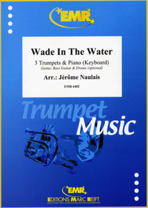 Book cover for Wade In The Water