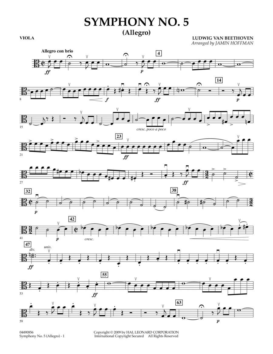 Symphony No. 5 (Allegro) - Viola