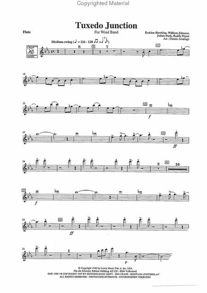 Play The 1st Flute With The London Wind Orchestra image number null