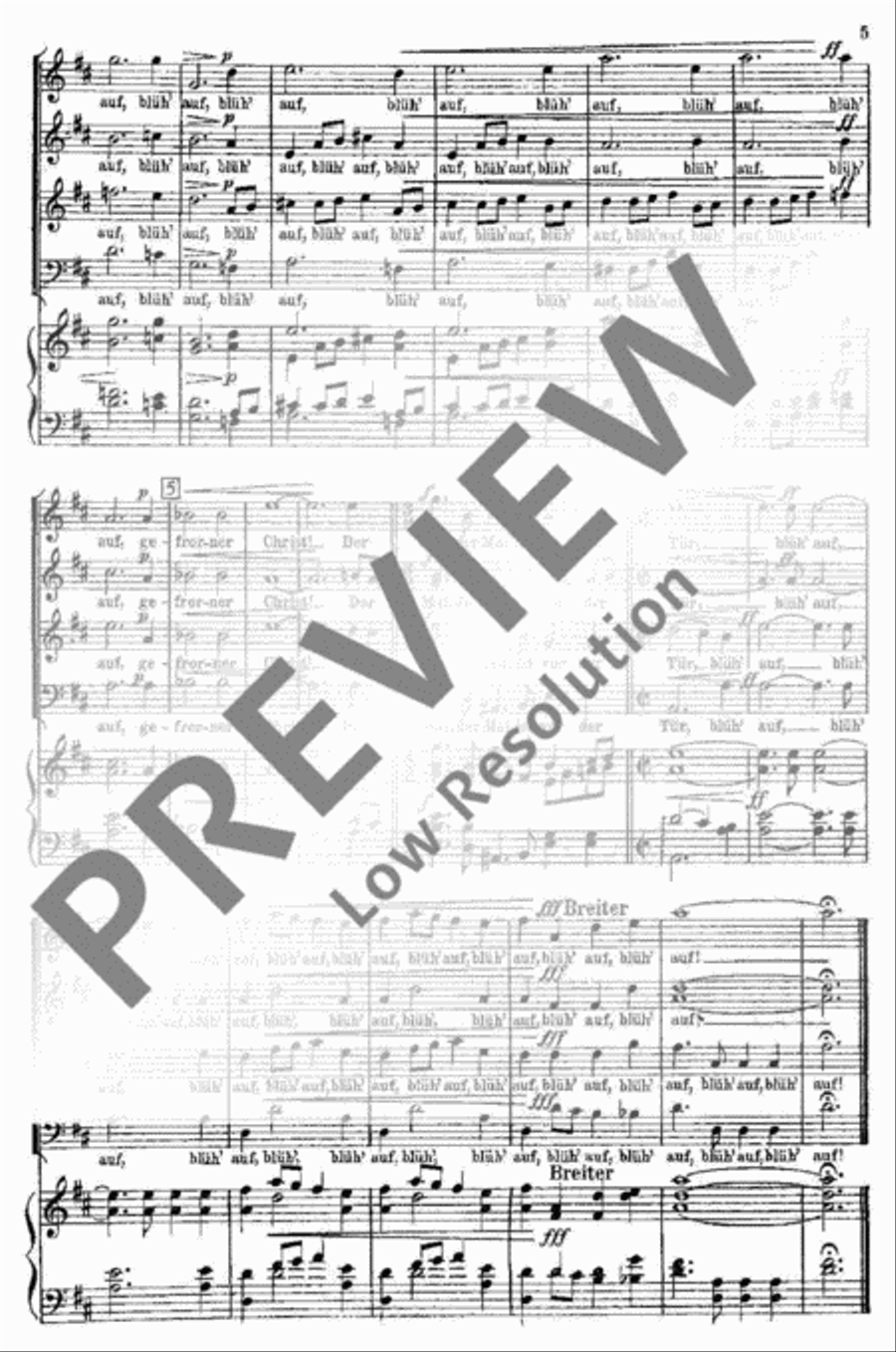 Eine deutsche Singmesse 4-Part scores gallery preview page 5