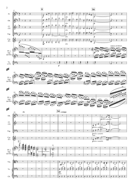 The Nutcracker Waltz of the Flowers for Chamber Ensemble, Op. 71 - Score Only image number null