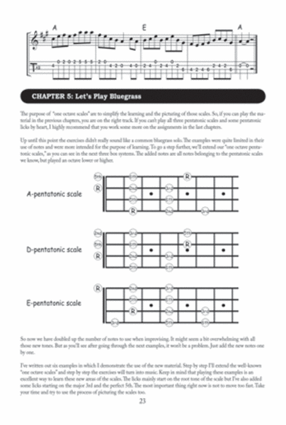 The Mandolin Picker's Guide to Bluegrass Improvisation image number null