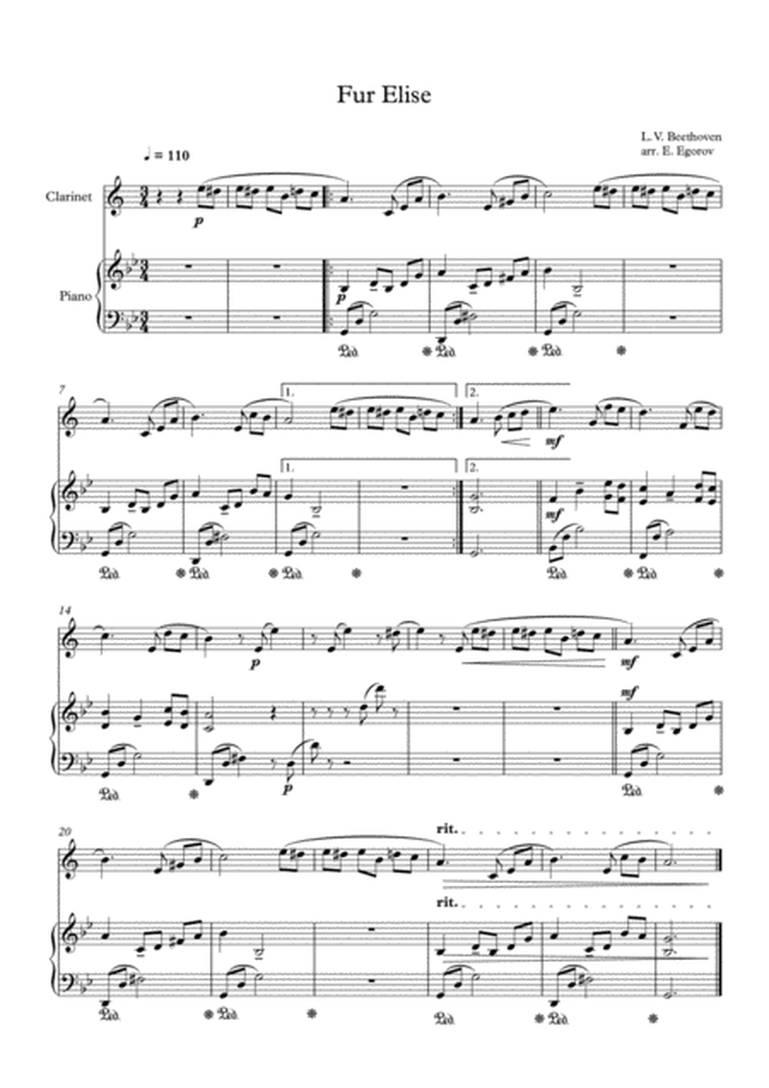 Fur Elise, Ludwig Van Beethoven, For Clarinet & Piano image number null