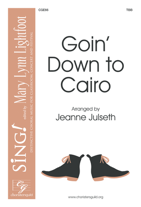 Book cover for Goin' Down to Cairo (TBB)