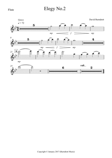 Elegy No.2 for Flute and Piano image number null