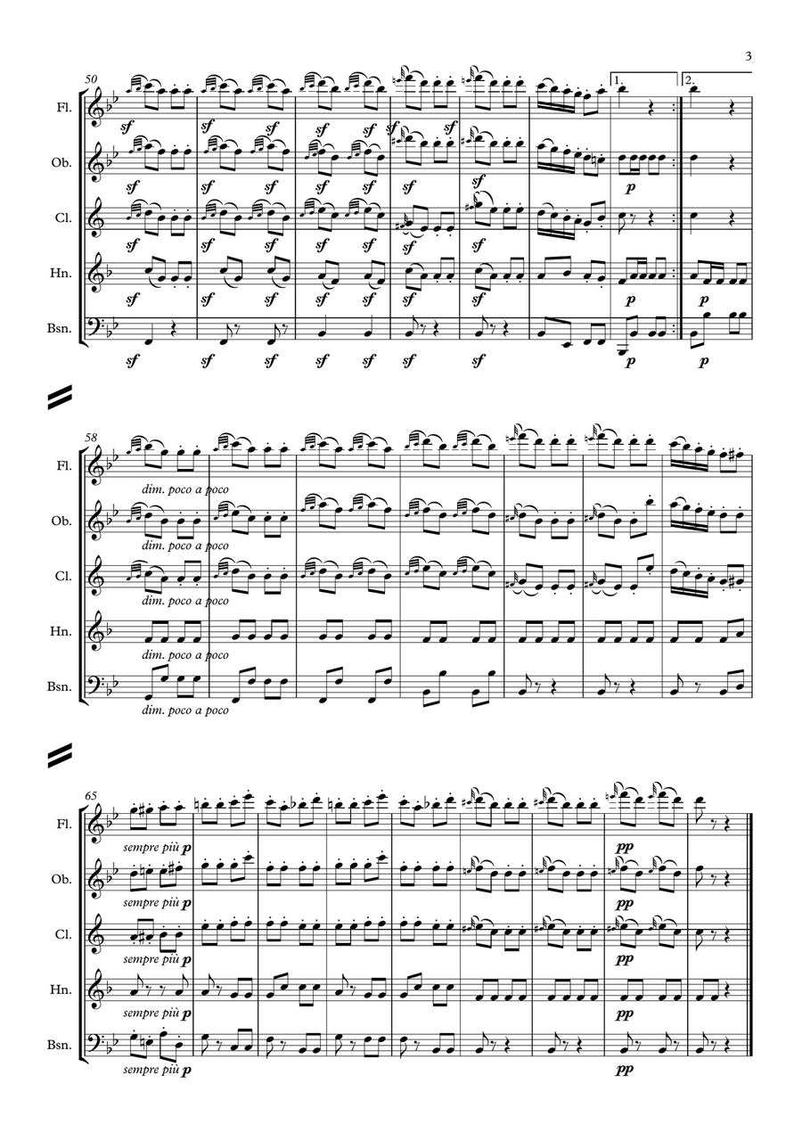 Beethoven: Turkish March (Ruins of Athens Op.113) - wind quintet Woodwind Quintet scores gallery preview page 3