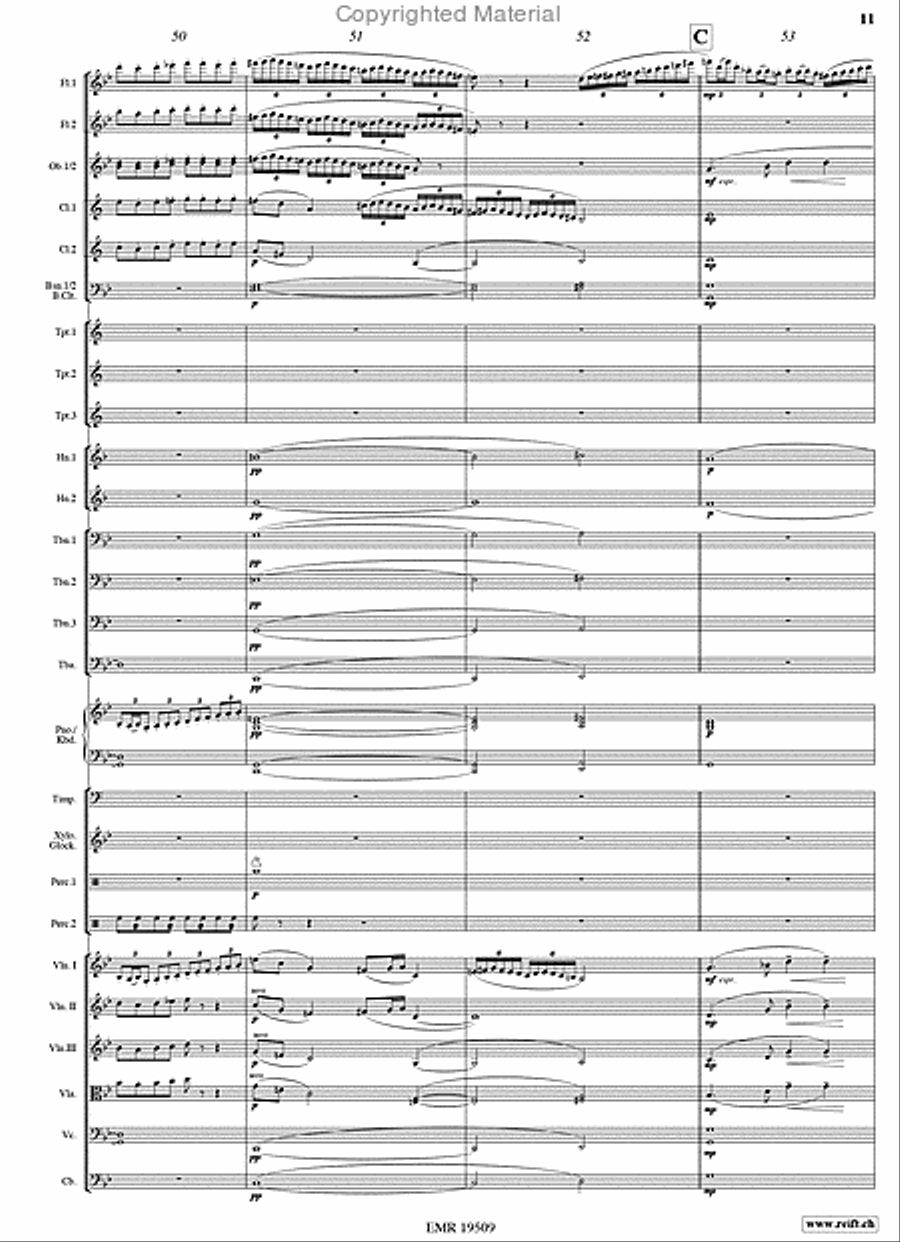 Taras Bulba Orchestra scores gallery preview page 11