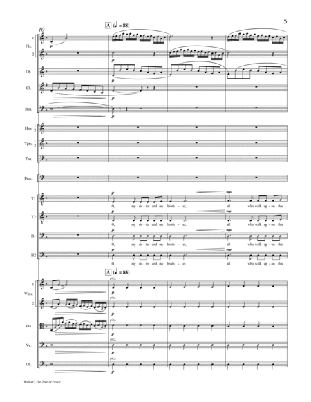 The Tree of Peace (Chamber Orchestra Full Score)