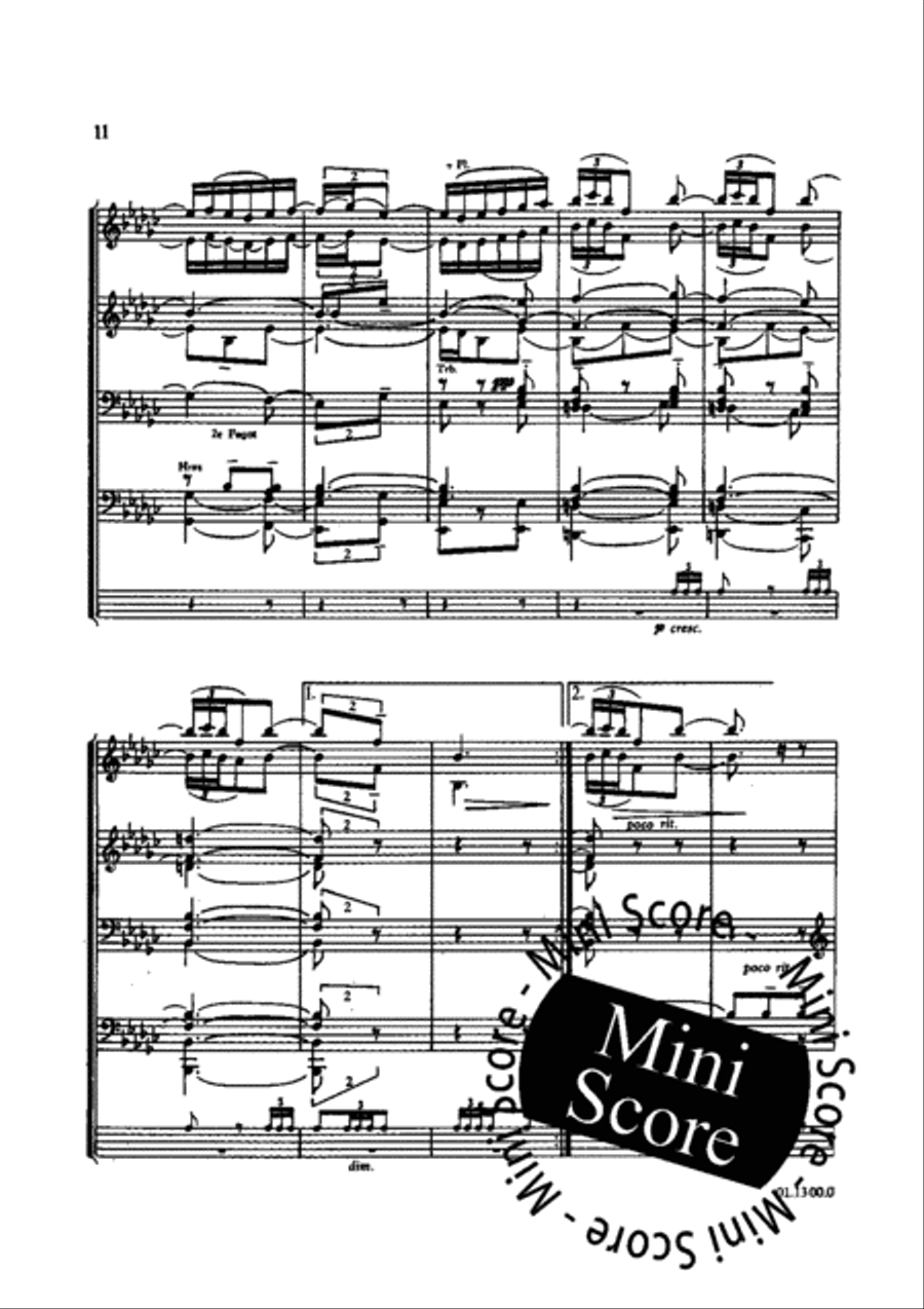 Spaans Nederlandse Dans Concert Band scores gallery preview page 14