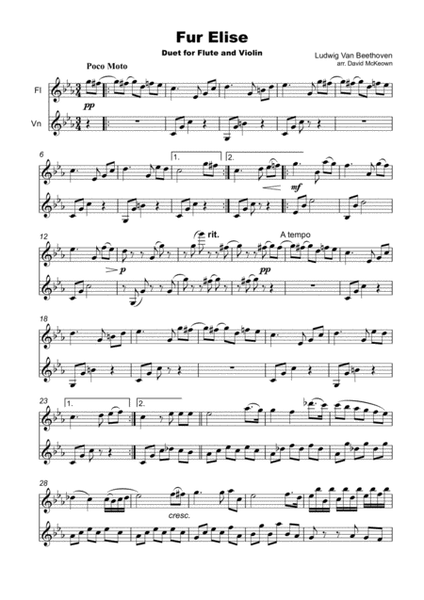 Für Elise, Flute and Violin Duet