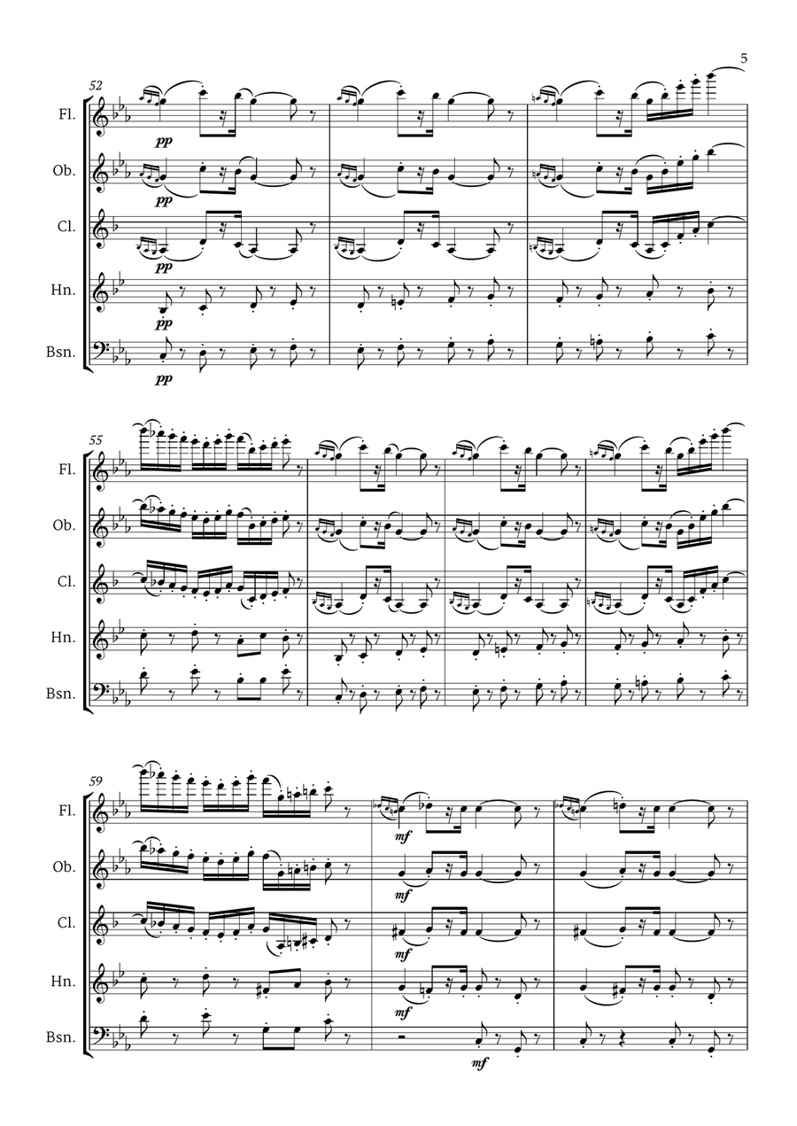 Marche des contrebandiers from Carmen by Georges Bizet GB 9 for Woodwind Quintet Woodwind Quintet scores gallery preview page 6