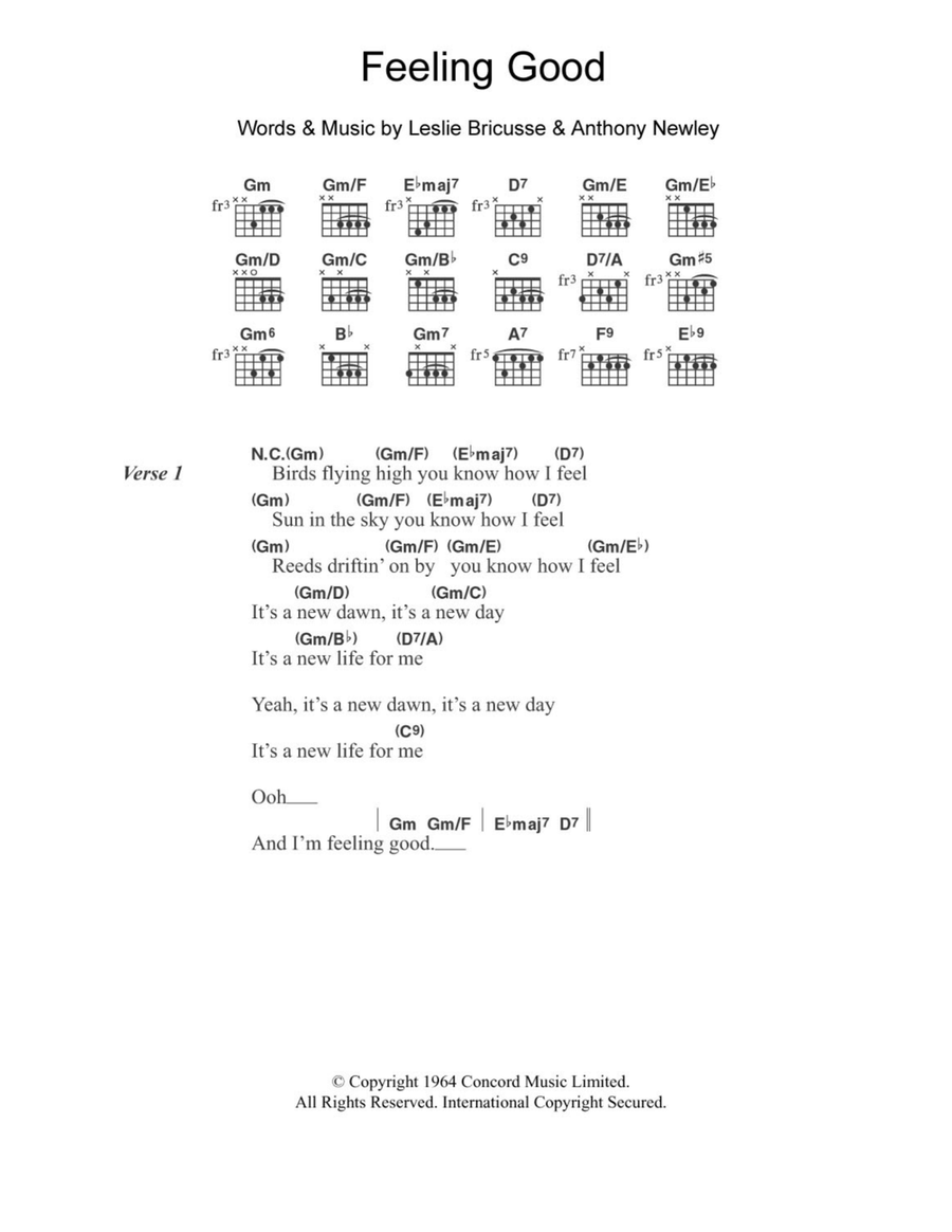 Feeling Good Acoustic Guitar scores gallery preview page 1