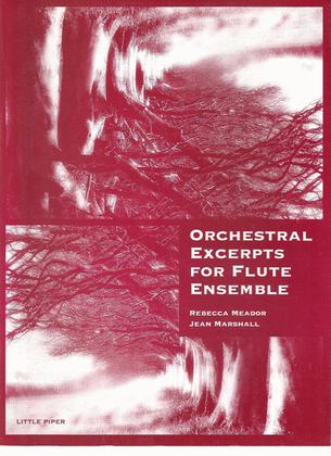 Book cover for Orchestral Excerpts for Flute Ensemble