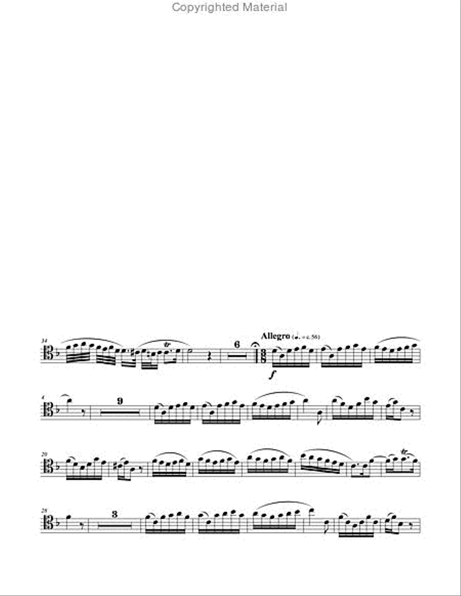 Concerto in D minor for Trombone & Piano Piano Accompaniment scores gallery preview page 4