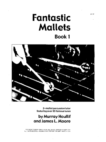 Fantastic Mallets, Book 1