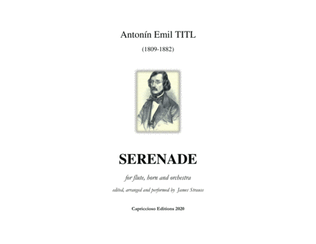 Book cover for Serenade for flute, horn and orchestra