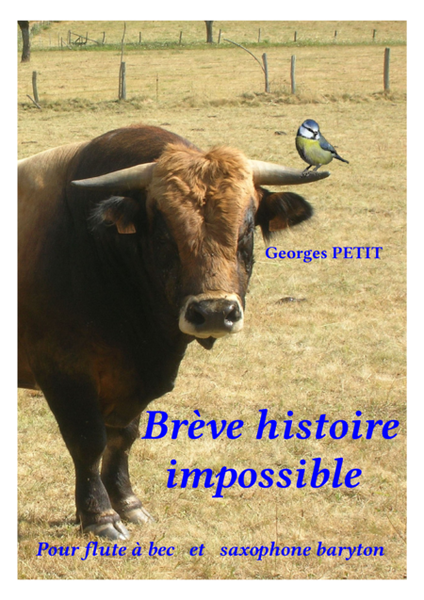 Breve Histoire Impossible (recorder version)