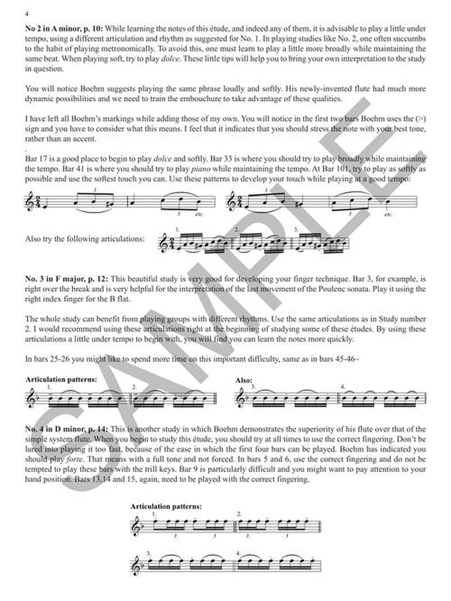 24 Caprices Etudes for Flute Flute Solo scores gallery preview page 6