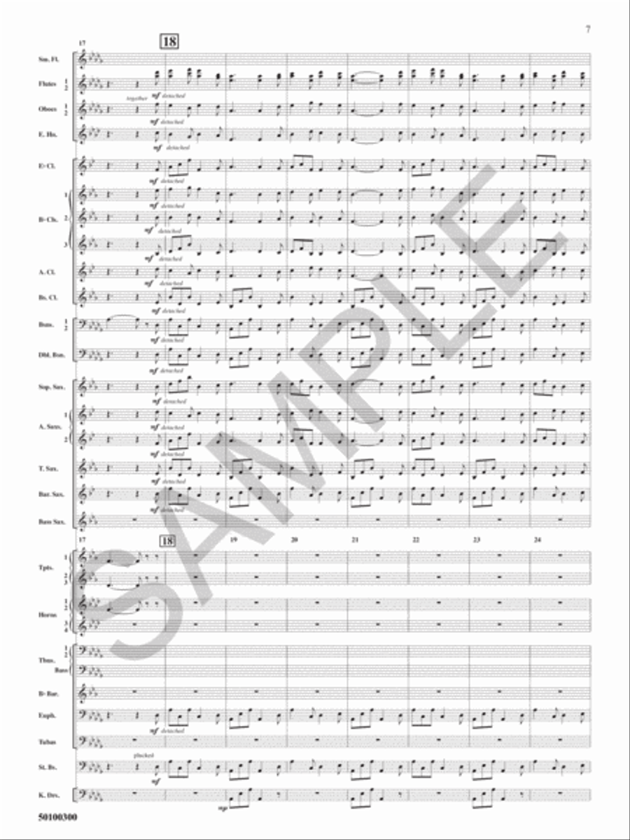 Lincolnshire Posy Concert Band scores gallery preview page 8