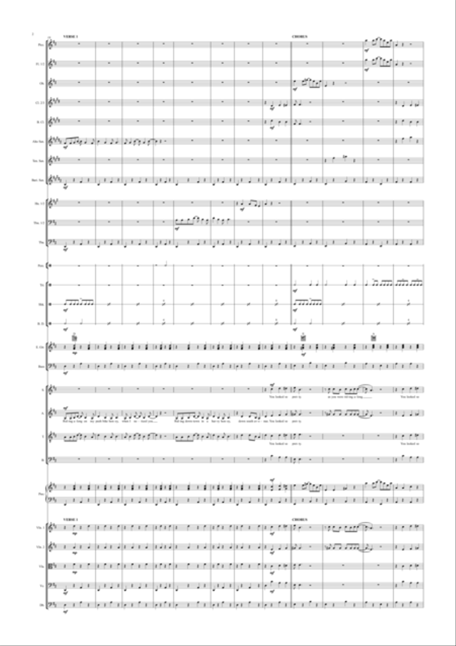 The Pushbike Song The Pushbike Song Full Orchestra scores gallery preview page 2
