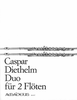 Book cover for Duo op. 124