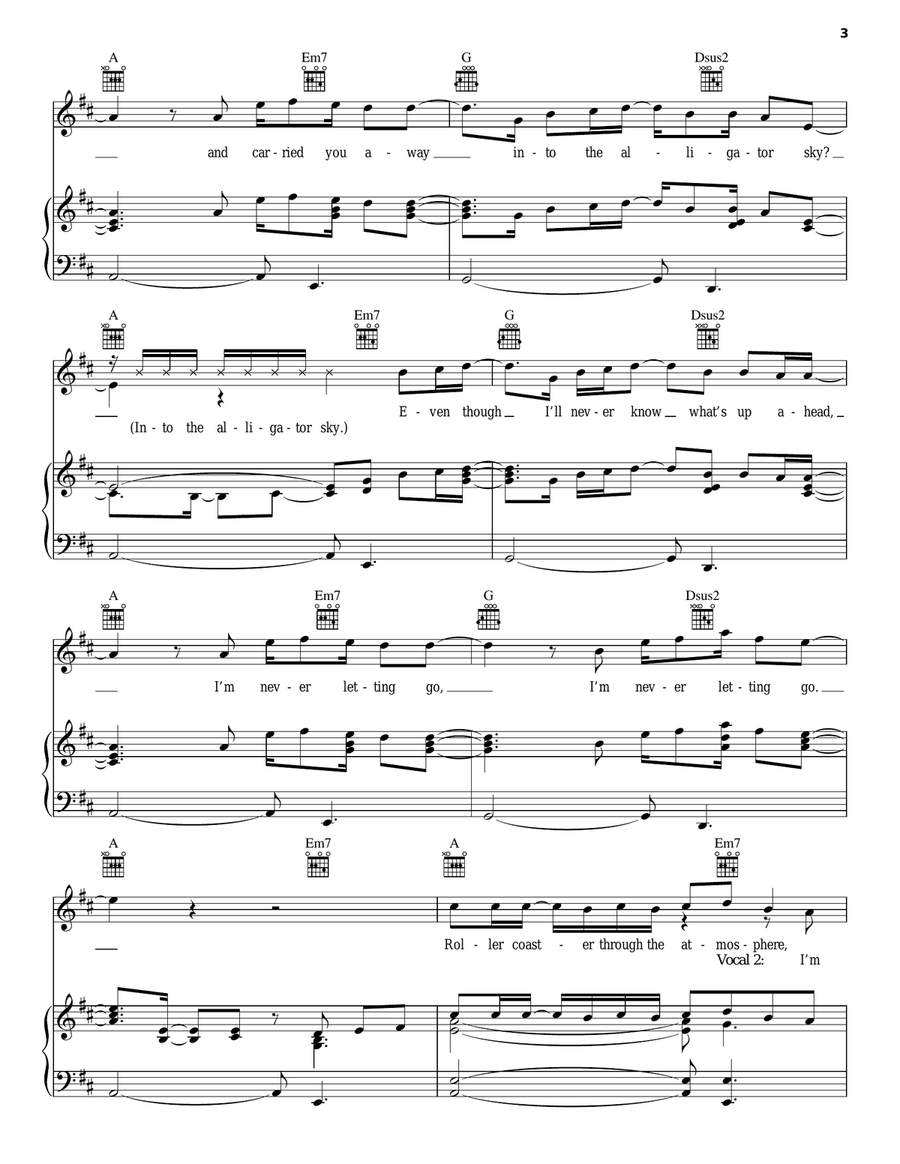 Alligator Sky Piano, Vocal, Guitar scores gallery preview page 3