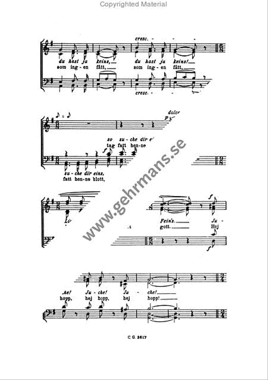 Hans och Greta Divisi scores gallery preview page 3