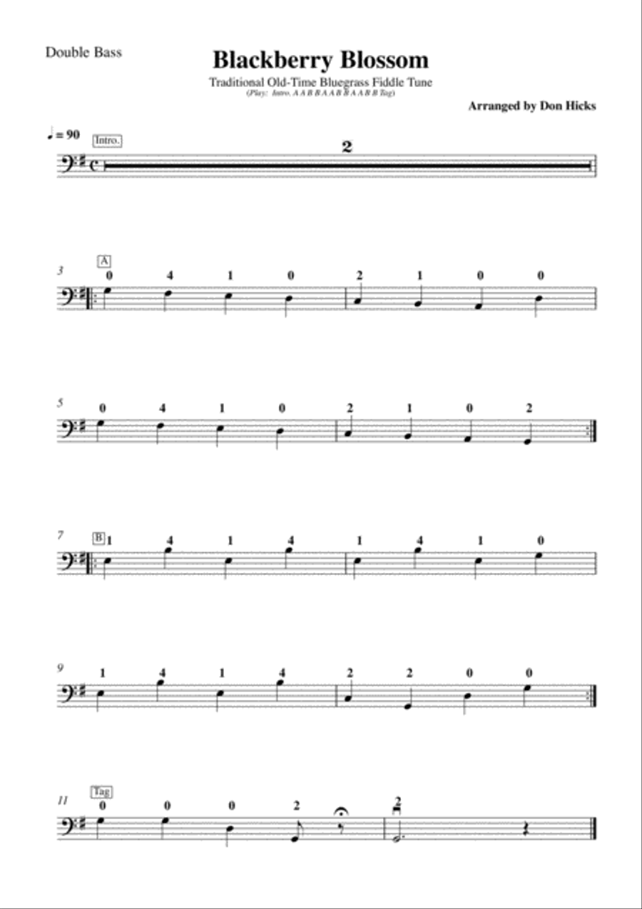 Blackberry Blossom for String Orchestra String Orchestra scores gallery preview page 5