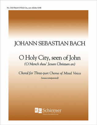 Book cover for O Holy City, Seen of John, BWV 403