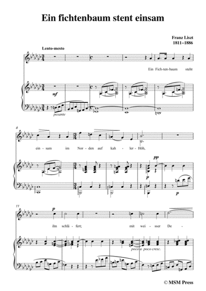 Liszt-Ein fichtenbaum stent einsam in e flat minor,for Voice and Piano image number null