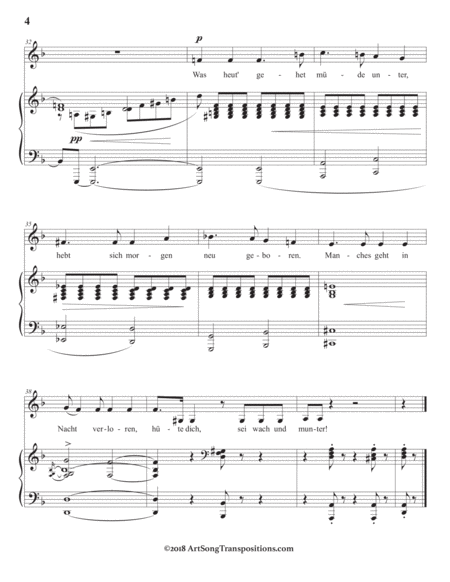 SCHUMANN: Zwielicht, Op. 39 no. 10 (in 3 medium keys: D, C-sharp, C minor)