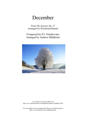 Book cover for December from The Seasons arranged for Wind Quintet
