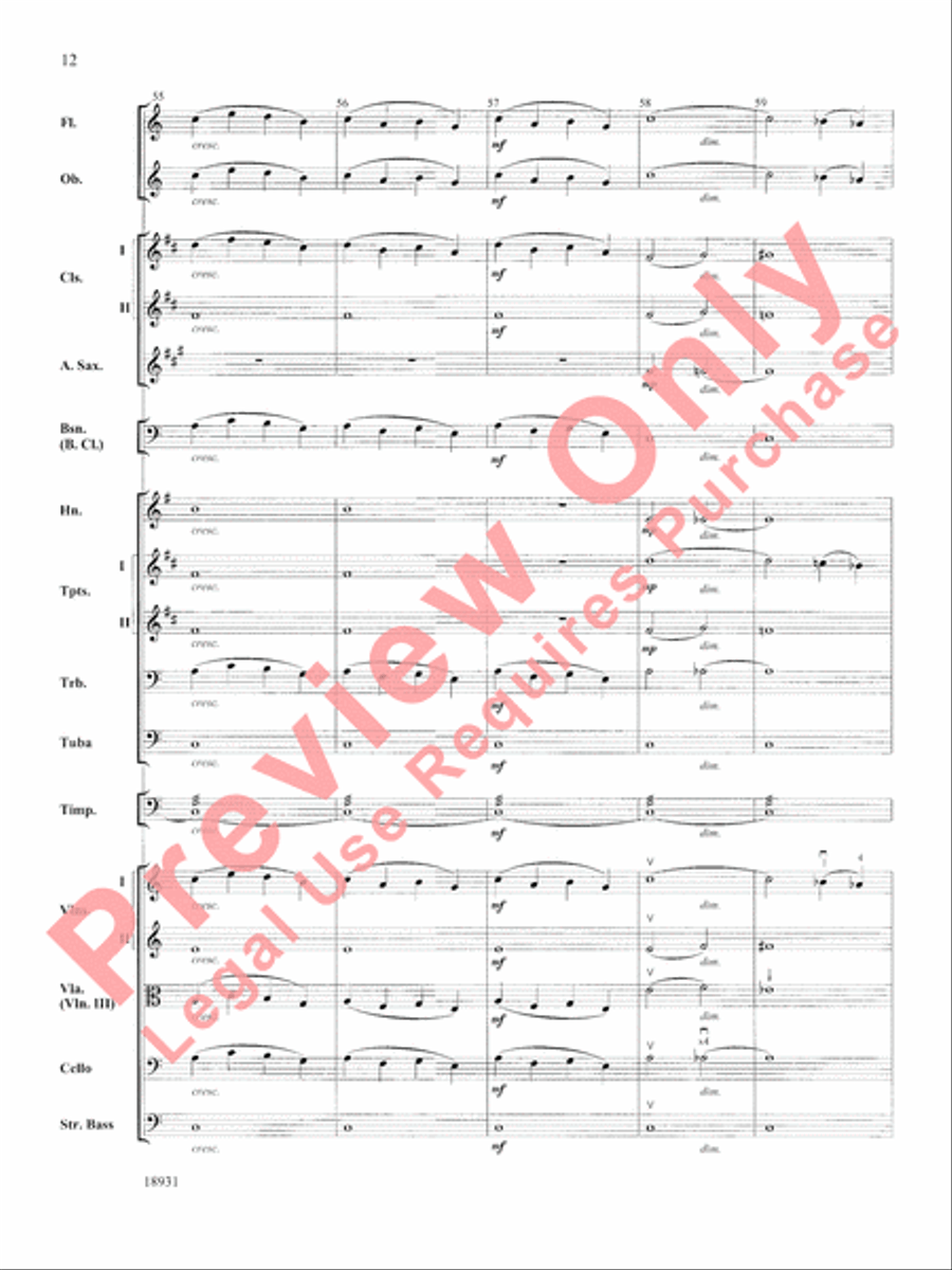 Largo Full Orchestra scores gallery preview page 13