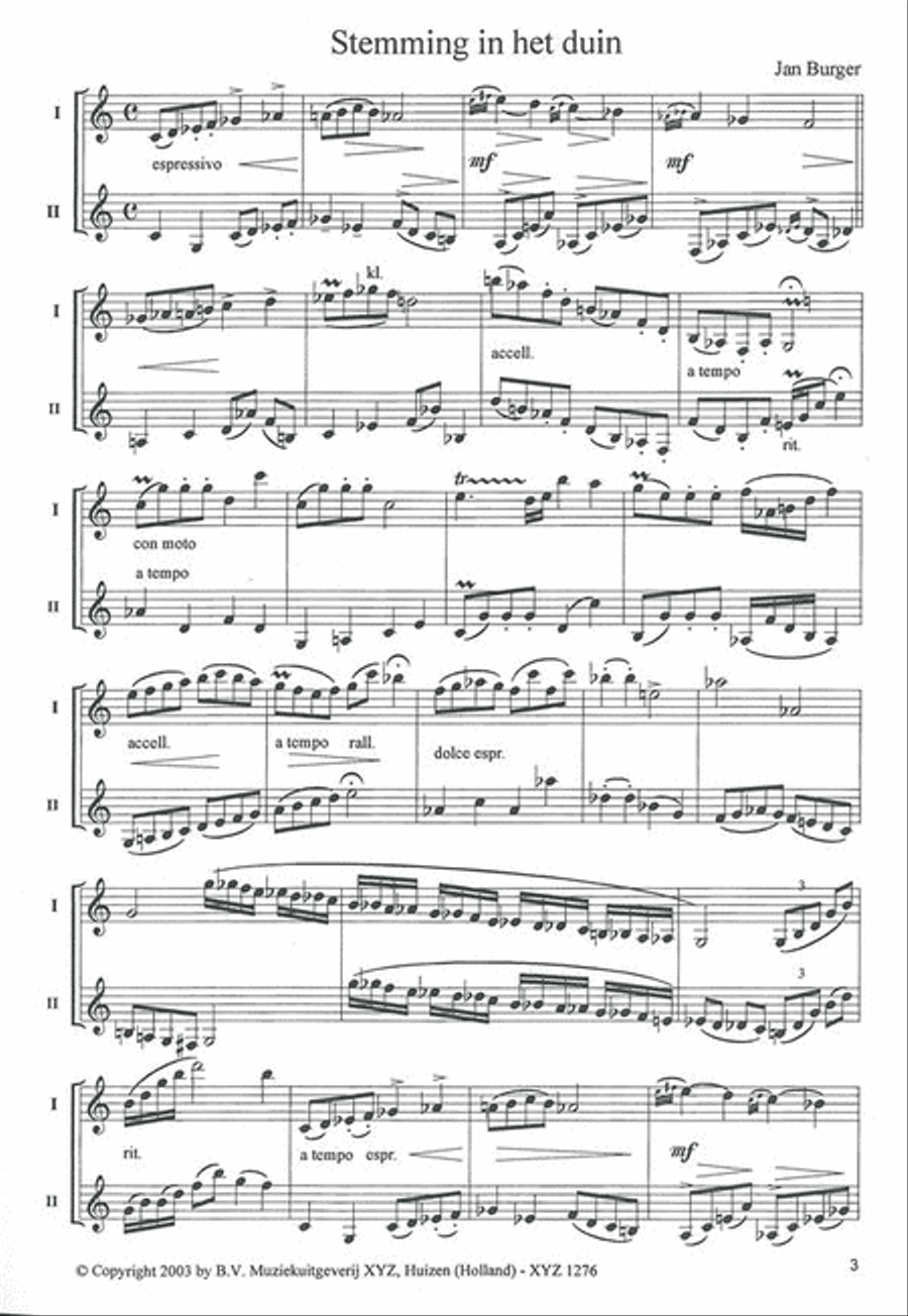 Feelings Clarinet Duet scores gallery preview page 2