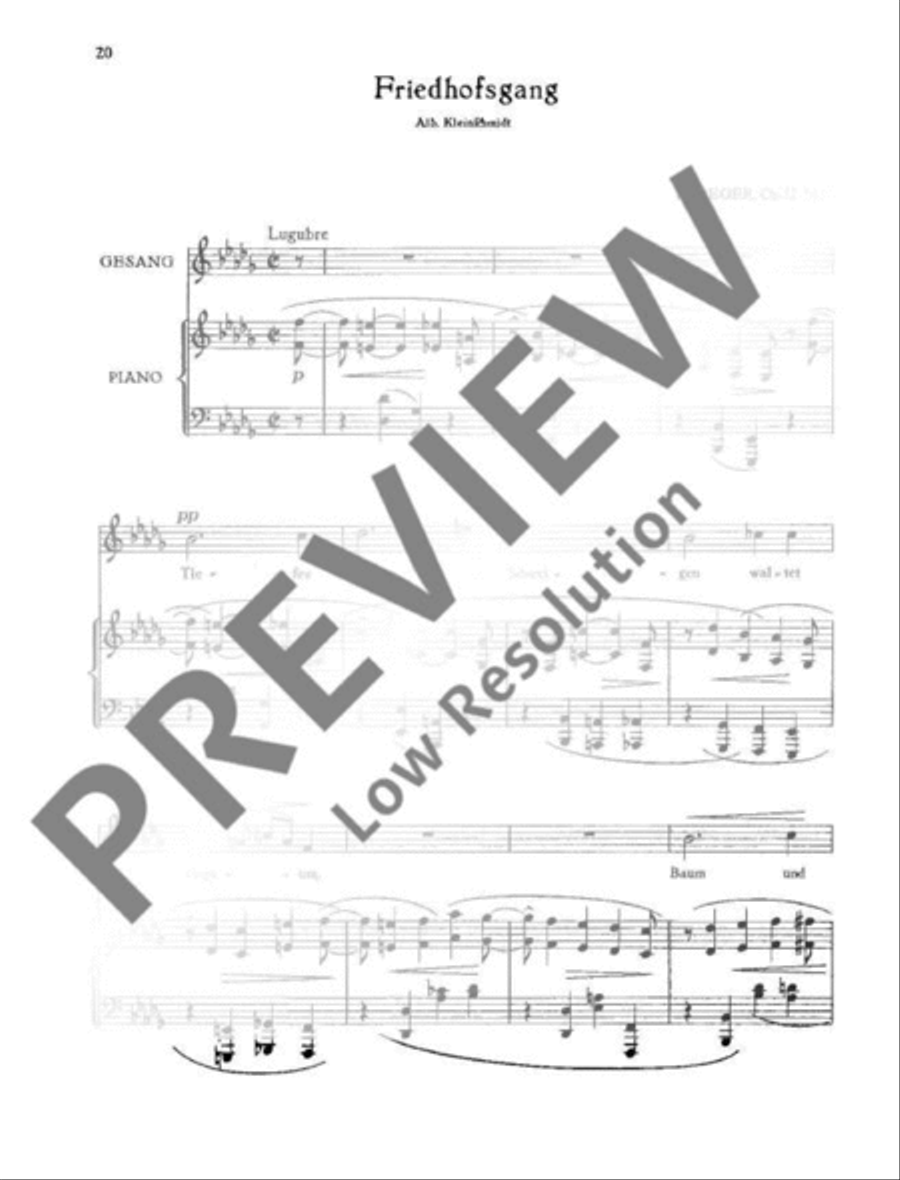 Lieder Medium Voice scores gallery preview page 21