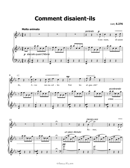 Comment disaient-ils, by Liszt, in c minor