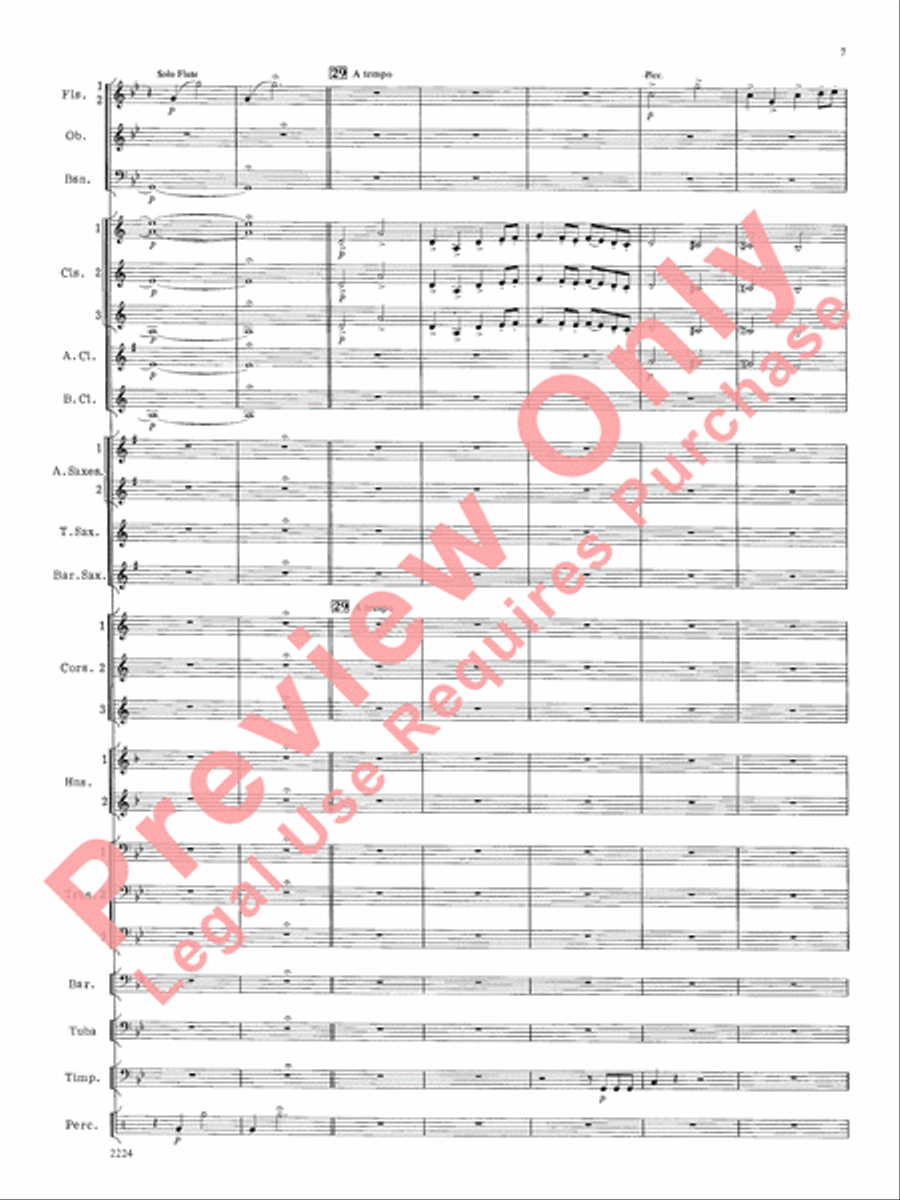 Flurry for Winds and Percussion Concert Band scores gallery preview page 8