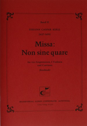 Book cover for Non sine quare
