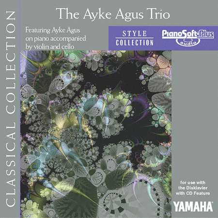 The Ayke Agus Trio