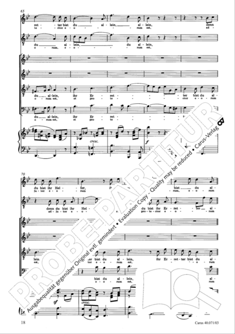 Psalm 115 (Der 115. Psalm) SSAATTBB scores gallery preview page 25