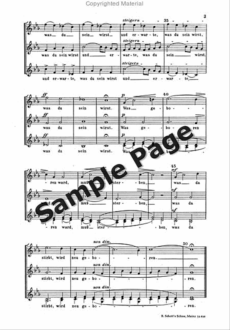 Rein W Gezeiten SMezA scores gallery preview page 4