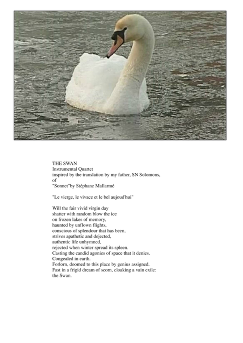 The Swan for flute quartet image number null