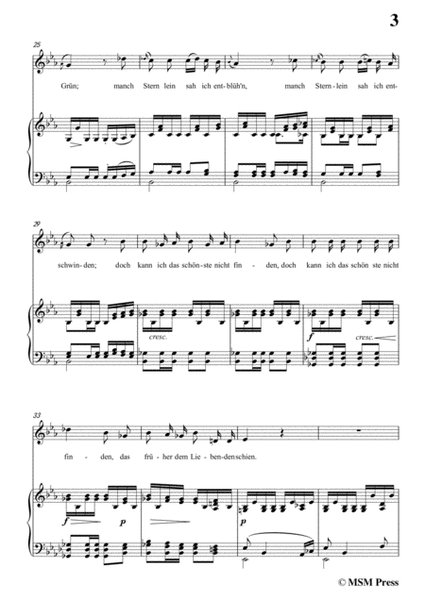 Schubert-Der Liebliche Stern,in E flat Major,for Voice&Piano image number null