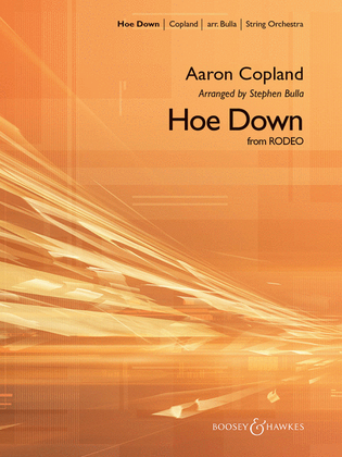 Book cover for Hoe Down (from Rodeo)