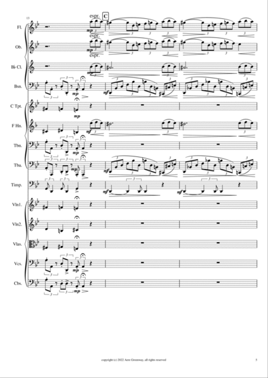 Brahms Rhapsody Opus 79 No. 2, arranged for orchestra Full Orchestra scores gallery preview page 6