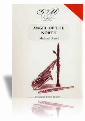 Book cover for Angel of the North