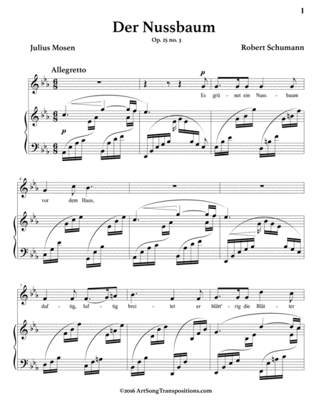 SCHUMANN: Der Nussbaum, Op. 25 no. 3 (transposed to E-flat major)