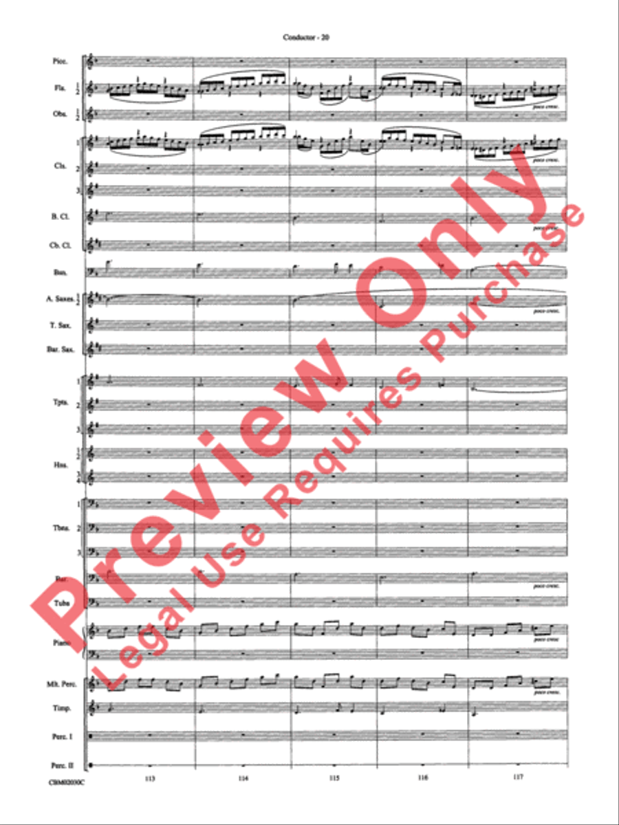 John Williams: Fantasy of Flight (Medley) Concert Band scores gallery preview page 23