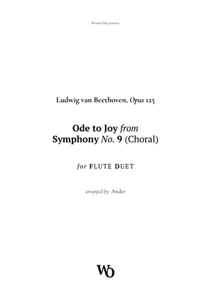Book cover for Ode to Joy by Beethoven for Flute Duet