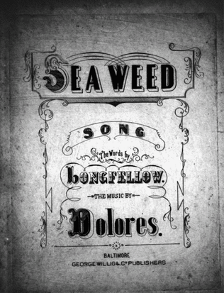 Seaweed. Song